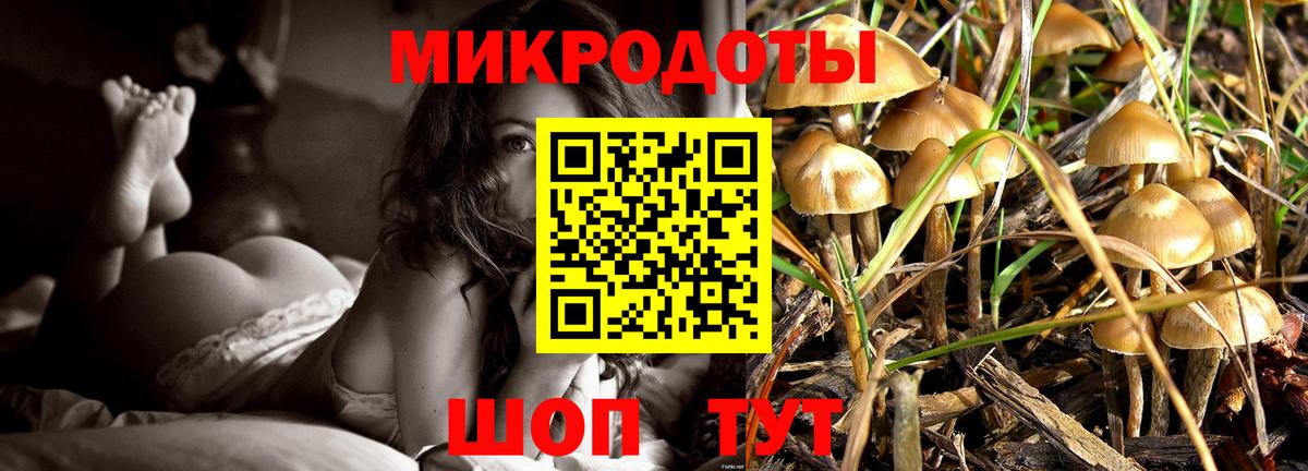 Ефремов  Псилоцибиновые грибы Cubensis  Псилоцибиновые грибы мухоморы  Вход с VPN 